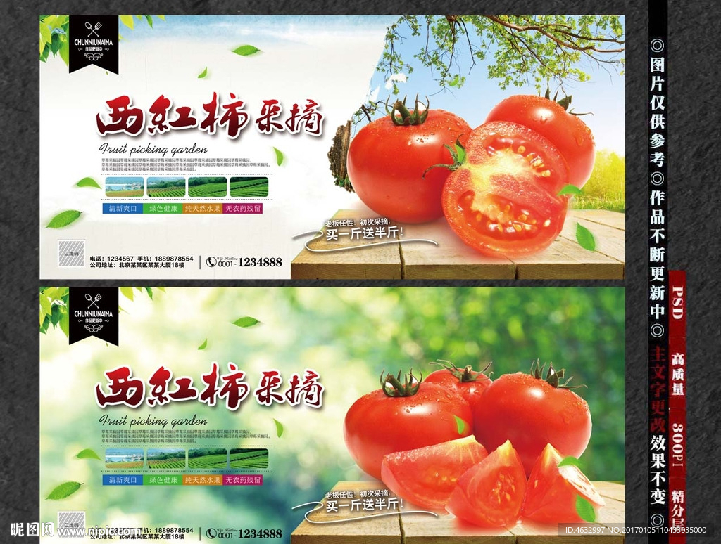 西红柿