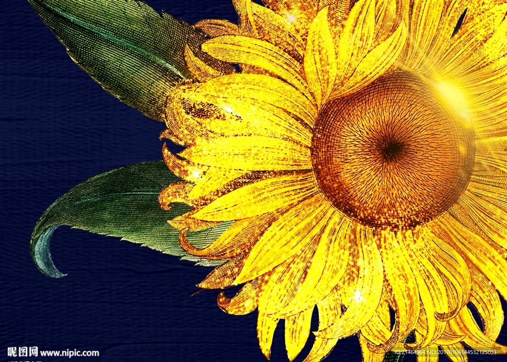 太阳 向日葵 阳光 绚丽