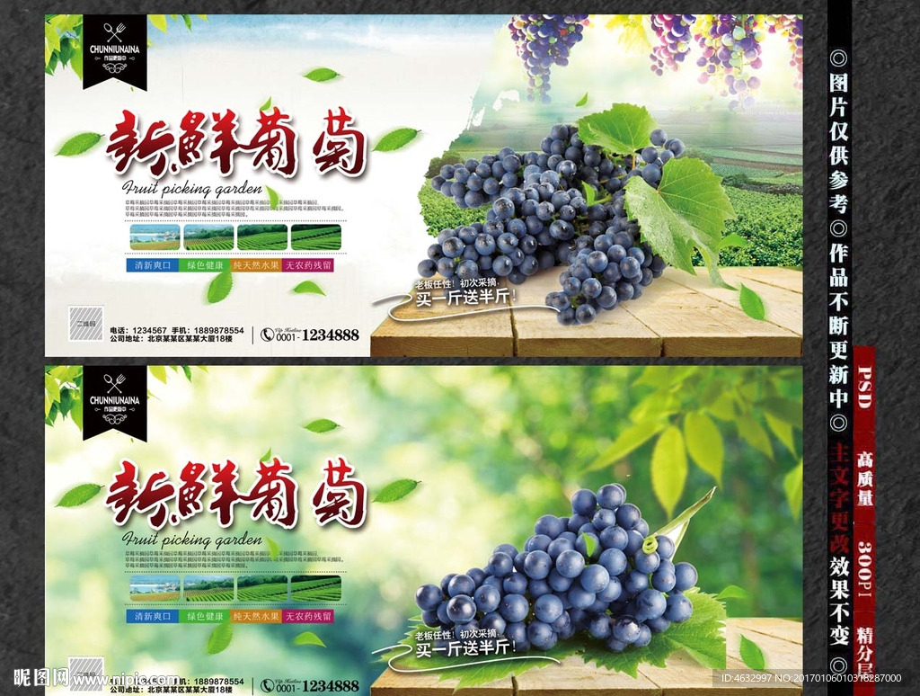 葡萄