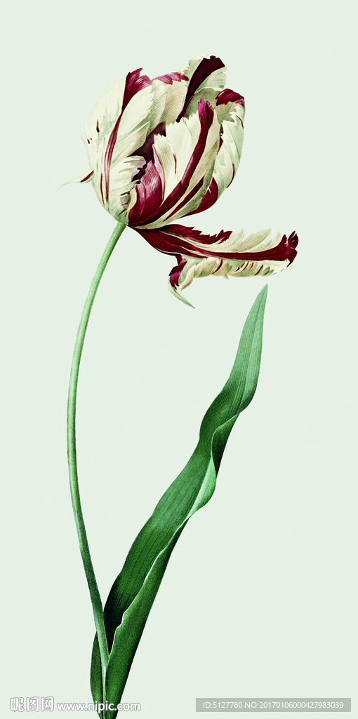 花语 装饰画 无框画 大花