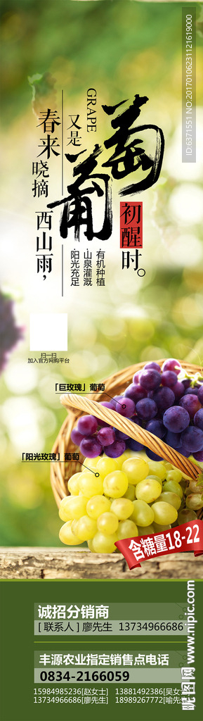 葡萄海报设计