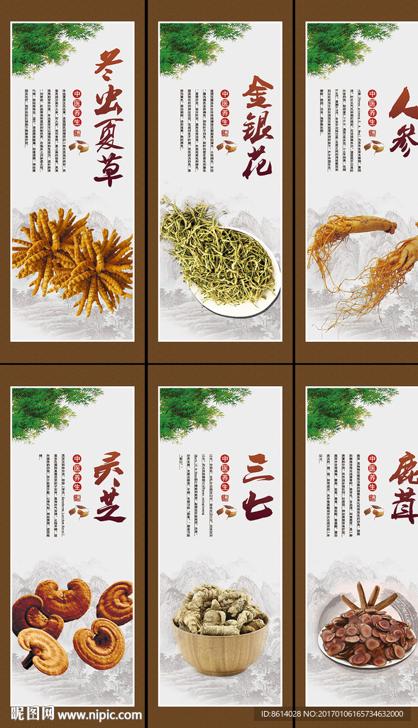 中草药海报