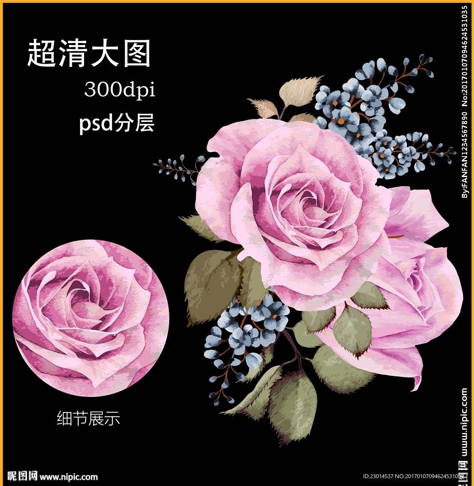 蔷薇