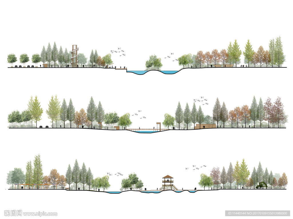 公园景观滨水景观剖立面图PSD