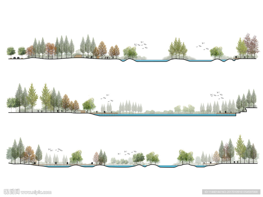 湿地公园 滨水景观PSD立面图