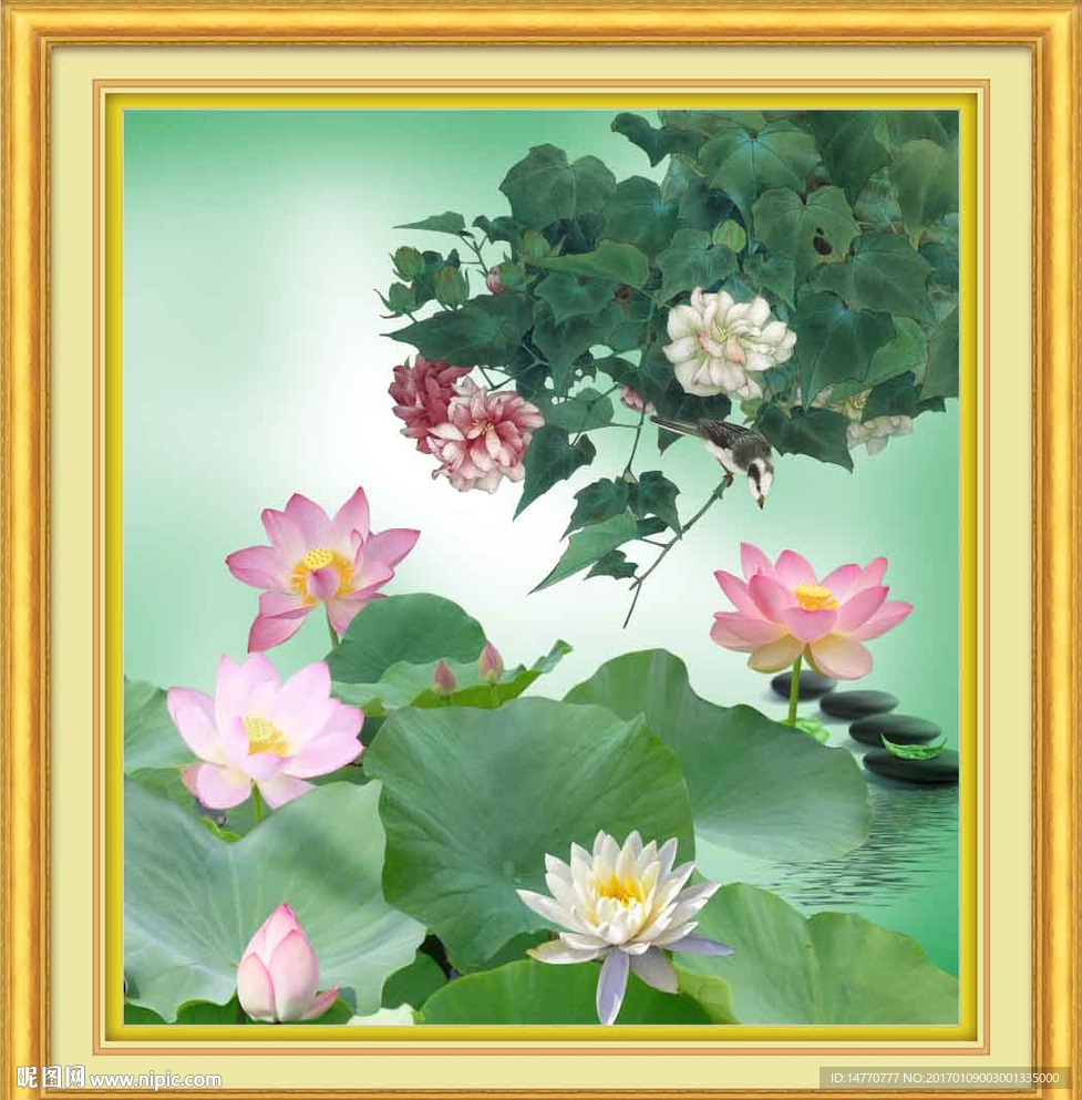 荷花图