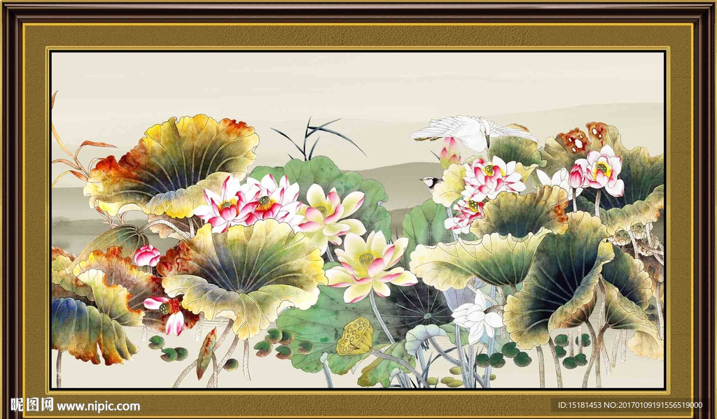 荷花图
