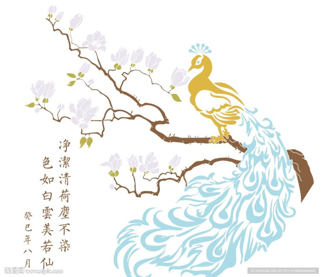 孔雀