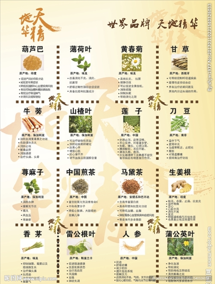 天地精华主要成分 宣传单 DM