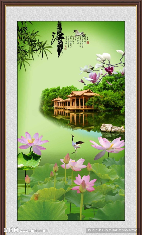荷花风景