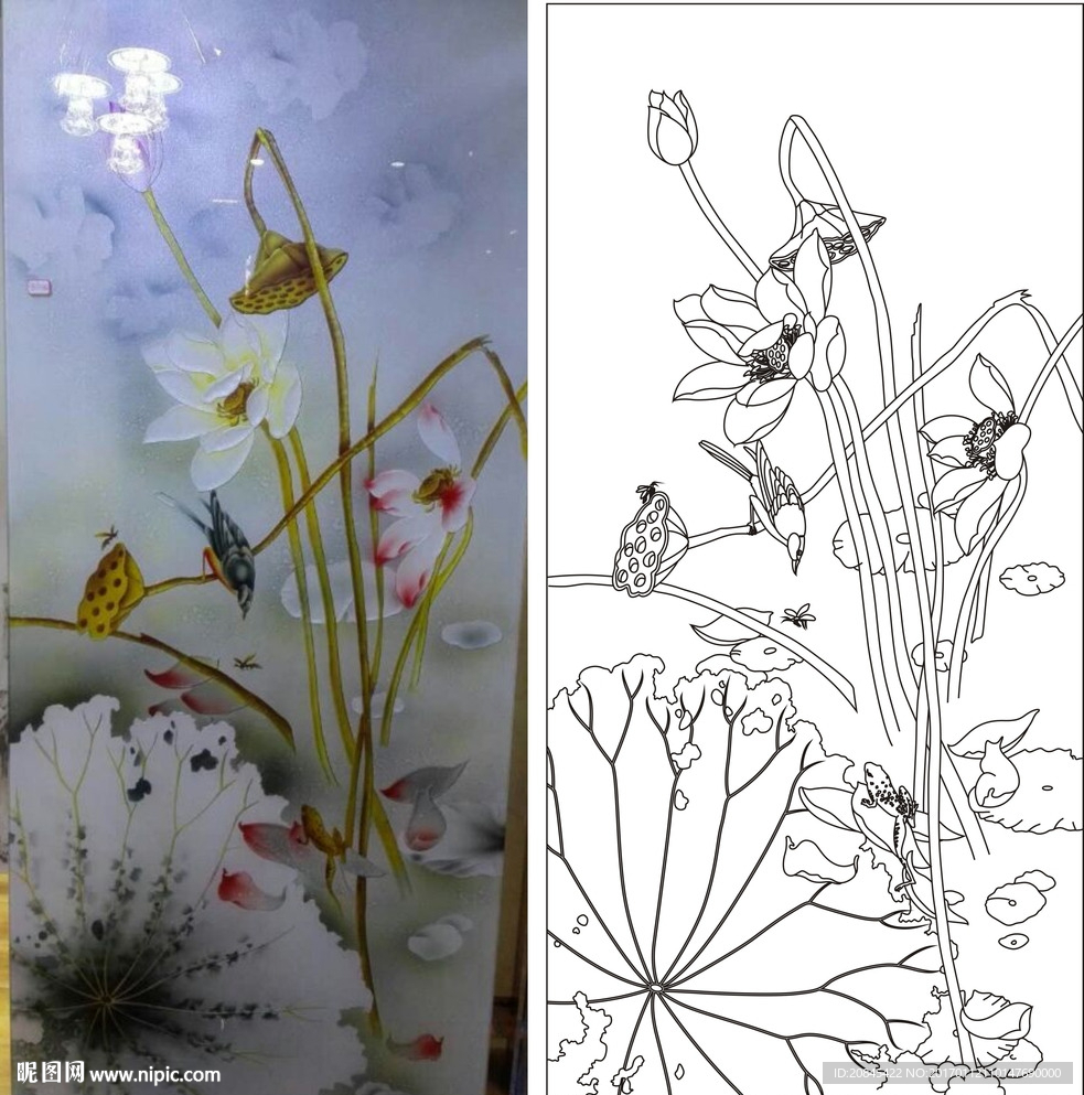 荷花鸟