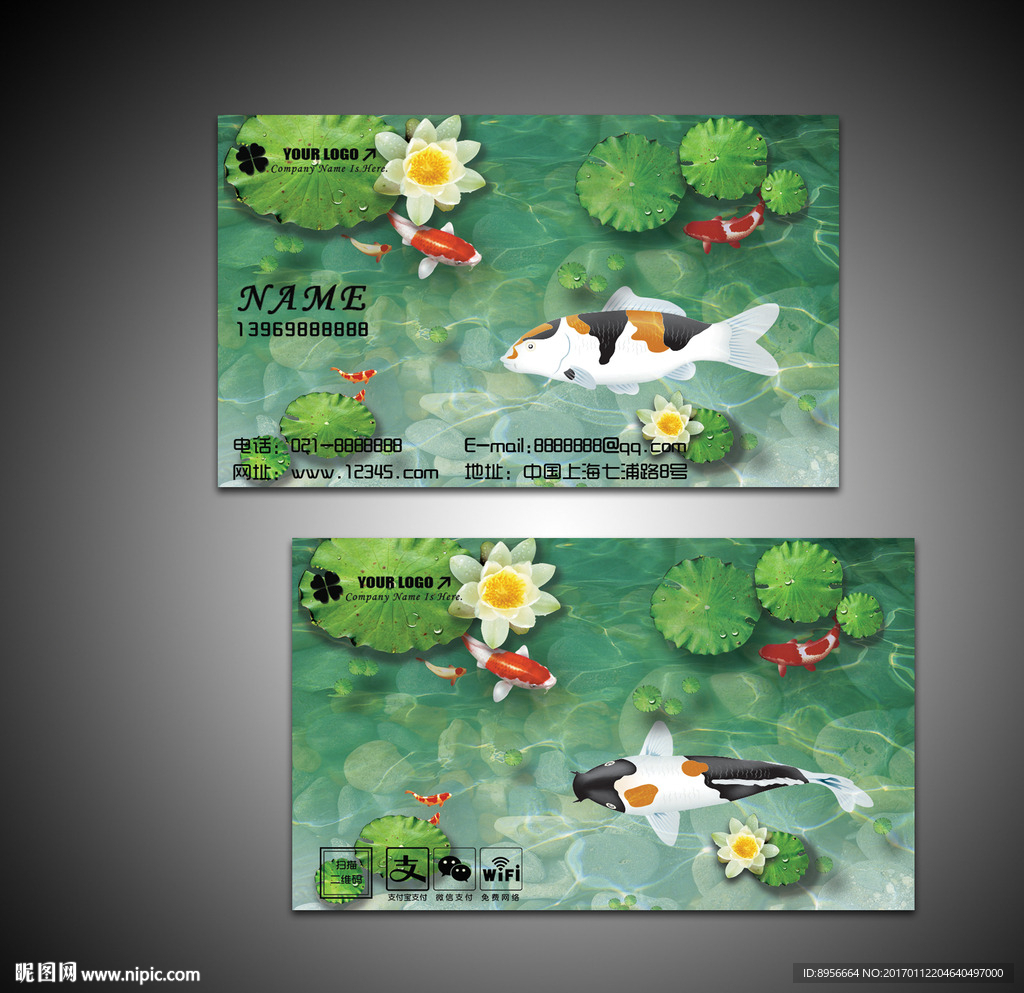 锦鲤观赏鱼名片