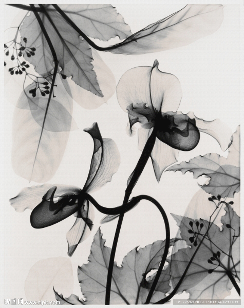 高清简欧花影肌理装饰画高清图片