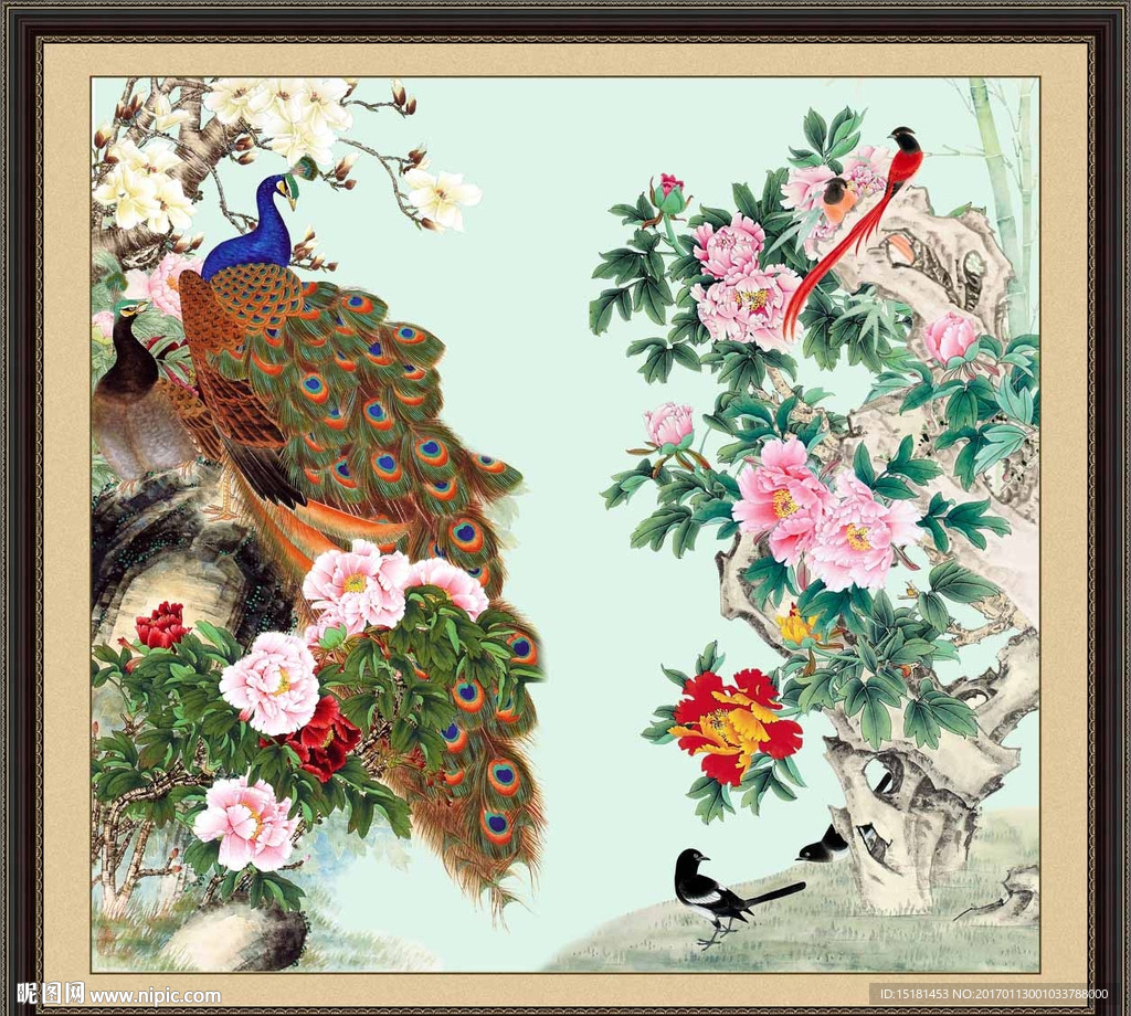 国画牡丹 孔雀图