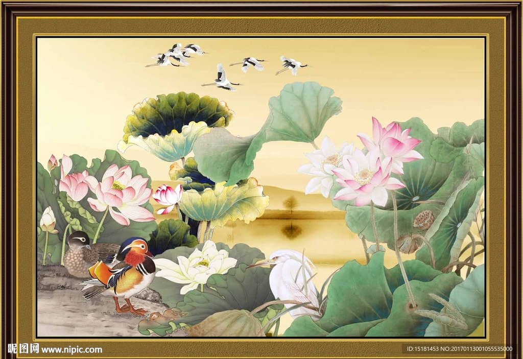 荷花图