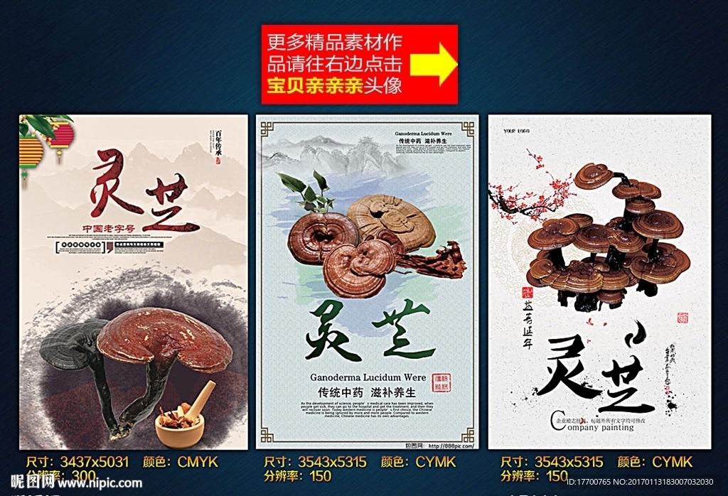 灵芝