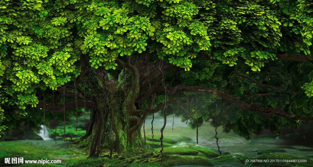 原始森林 梦幻森林
