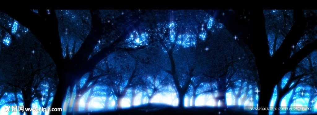 夜晚 星空 森林