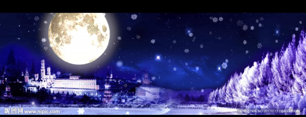 冬雪 月圆夜