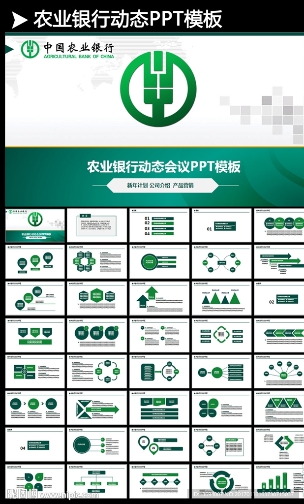 中国农业银行金融理财报告总结