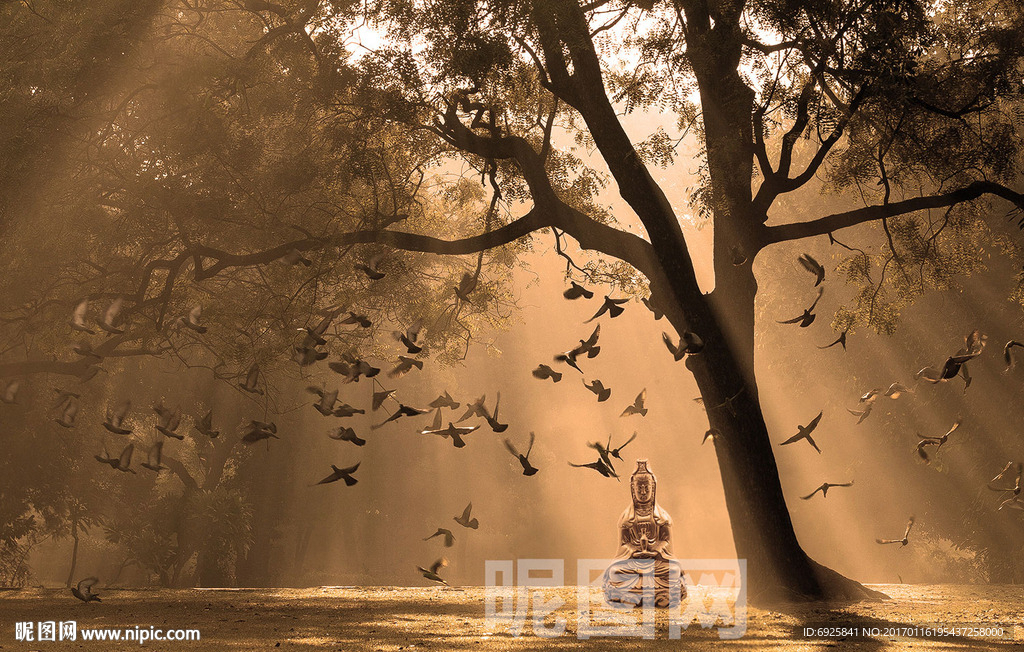 创意后期合成作品禅定人生