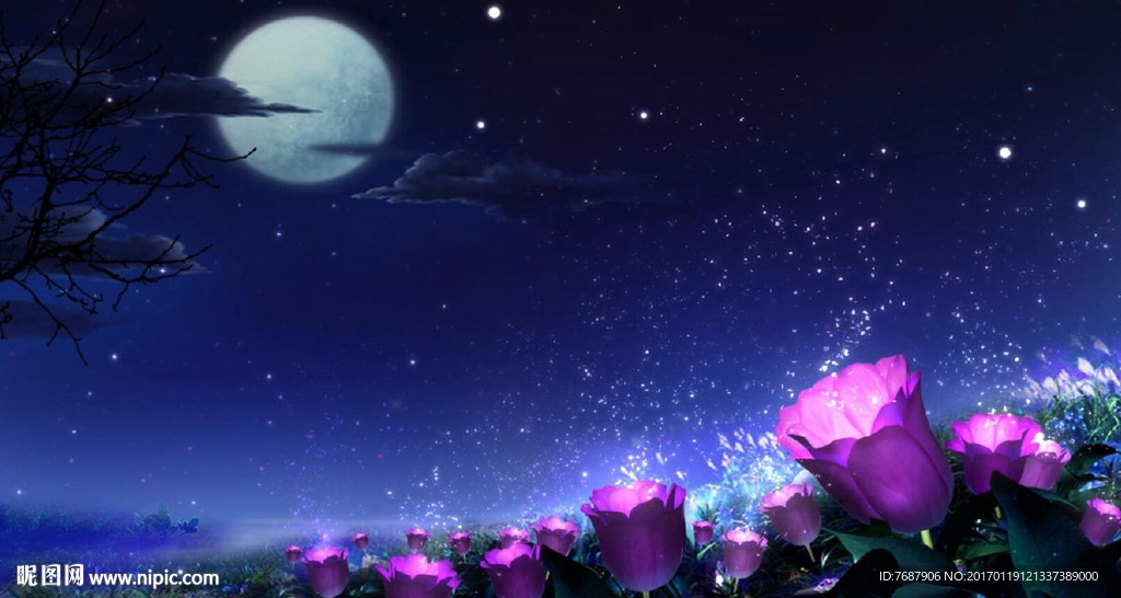 中秋花月夜