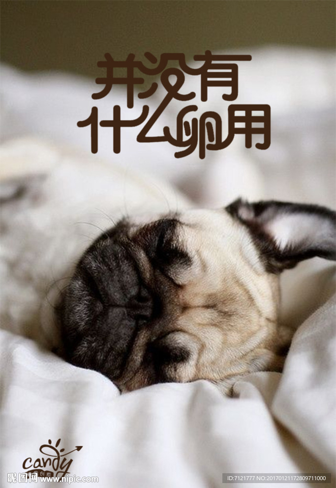 狗