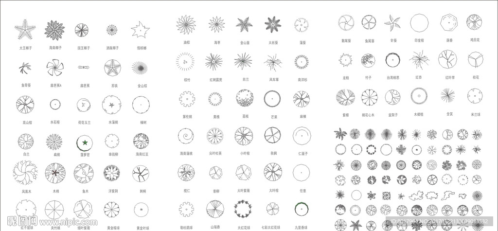 别墅庭院 户型填充 植物 线条