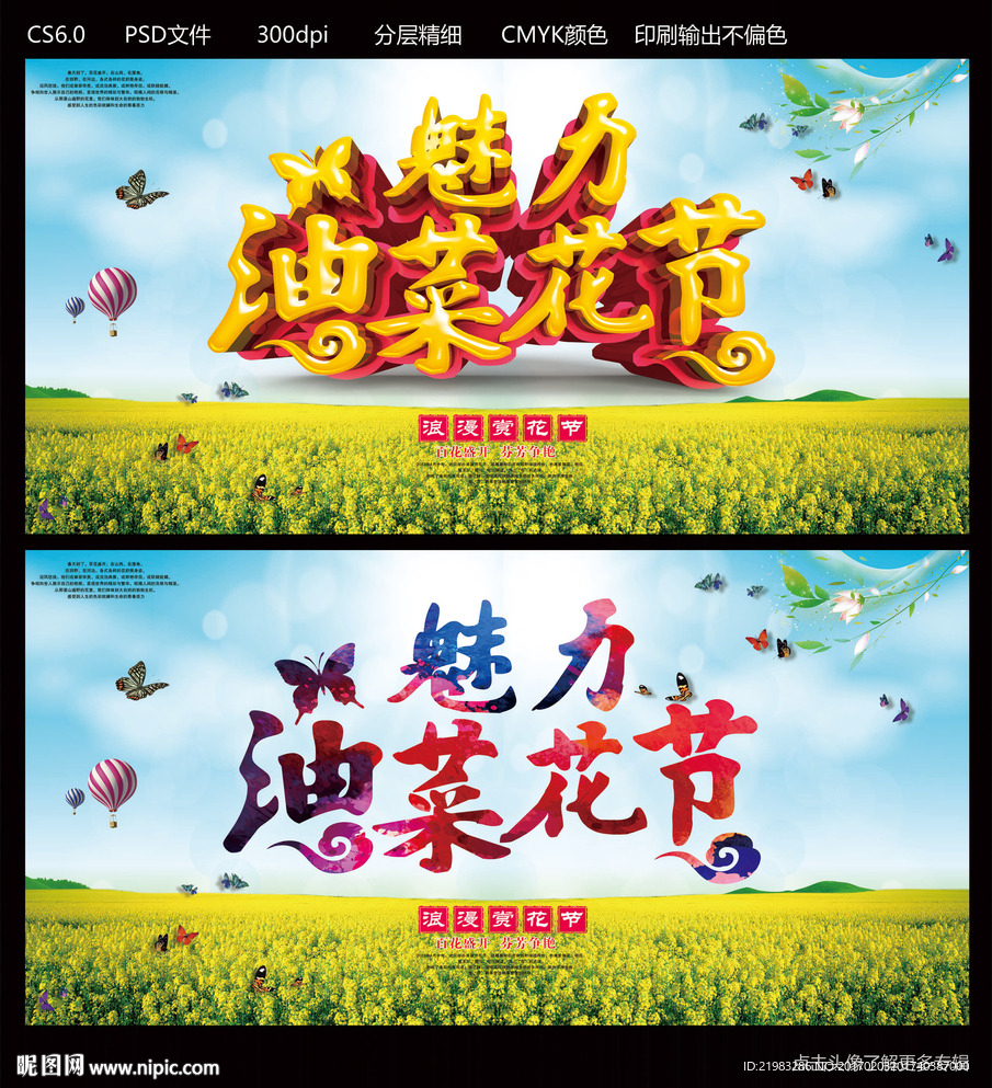 油菜花