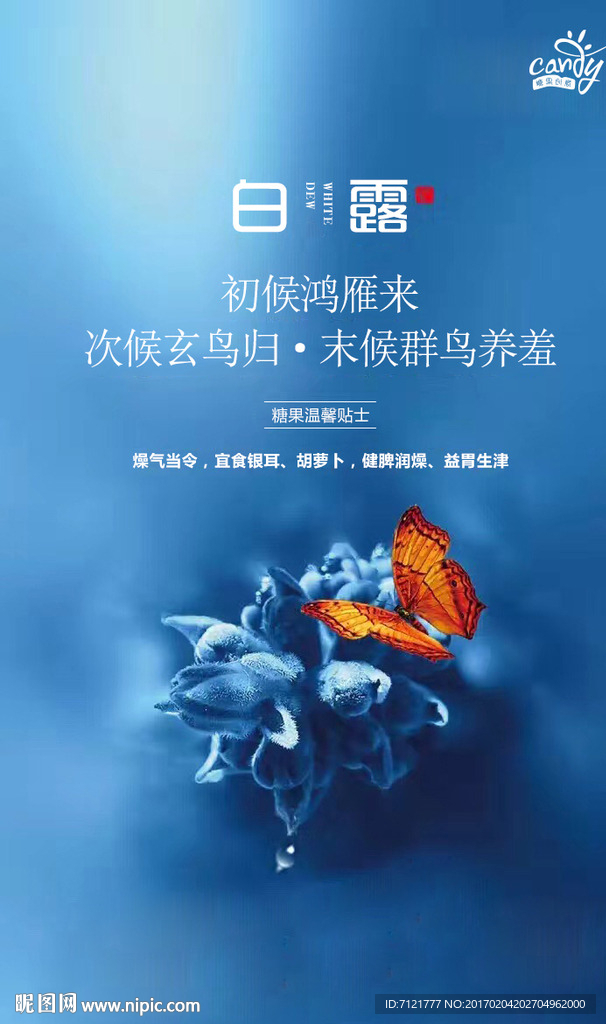 白露
