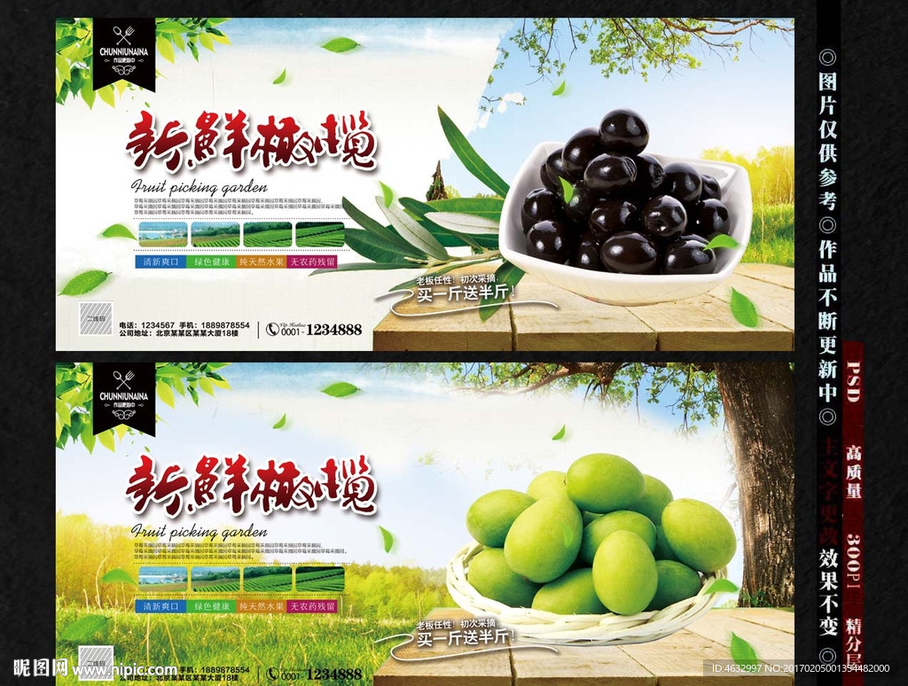 橄榄
