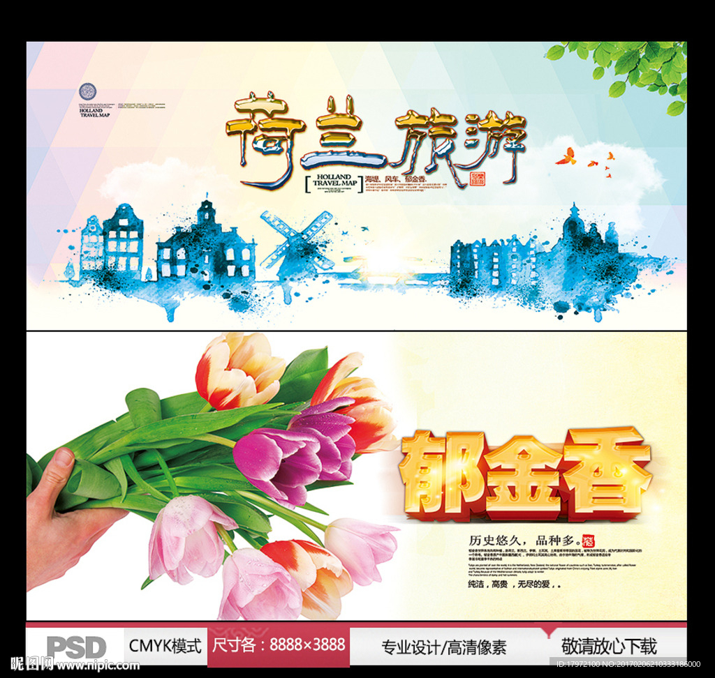 荷兰旅游 郁金香