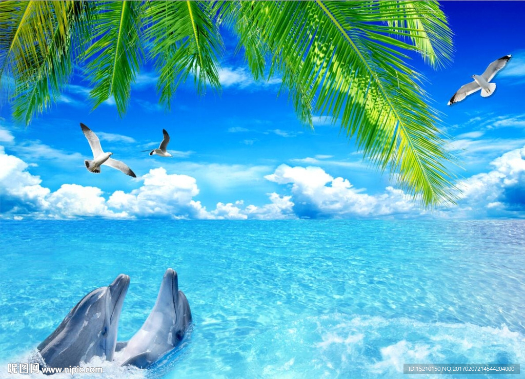 椰子树海豚