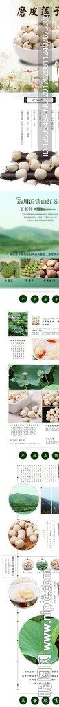 淘宝莲子详情页描述图PSD设计