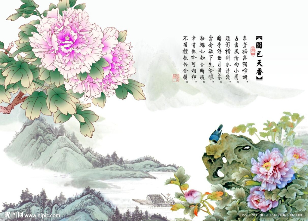 国色天香牡丹花