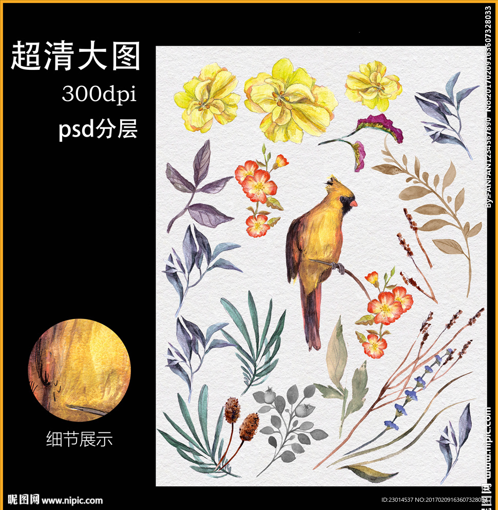 水彩植物花鸟