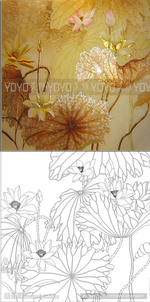 荷花