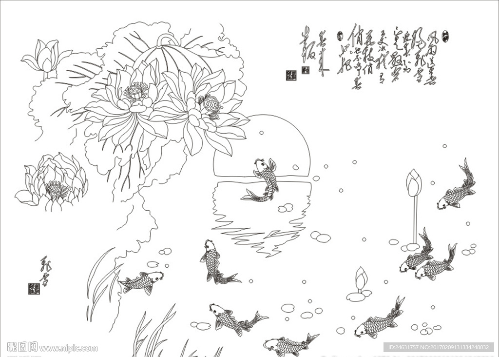 荷花鱼