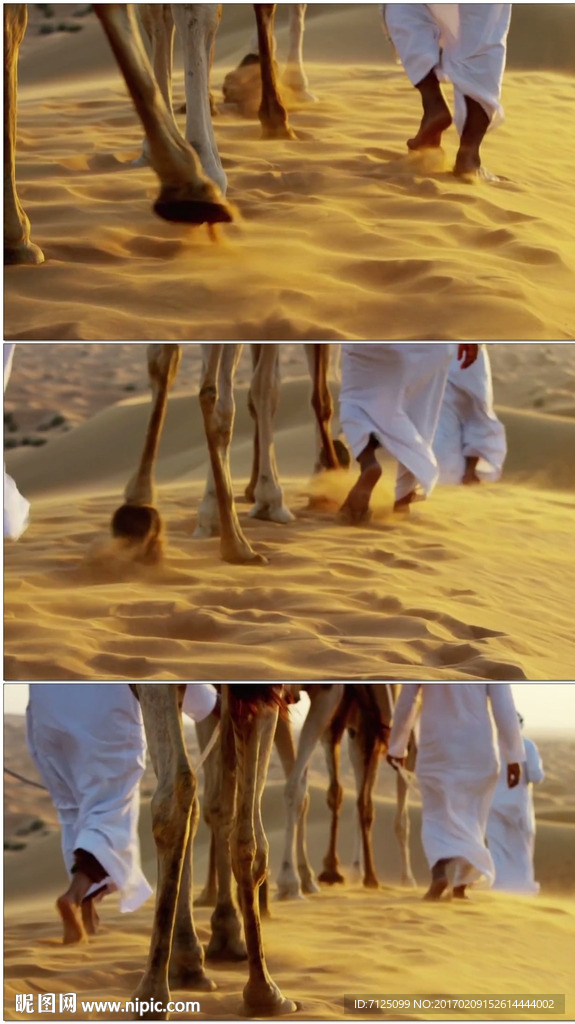 沙漠骆驼队前行