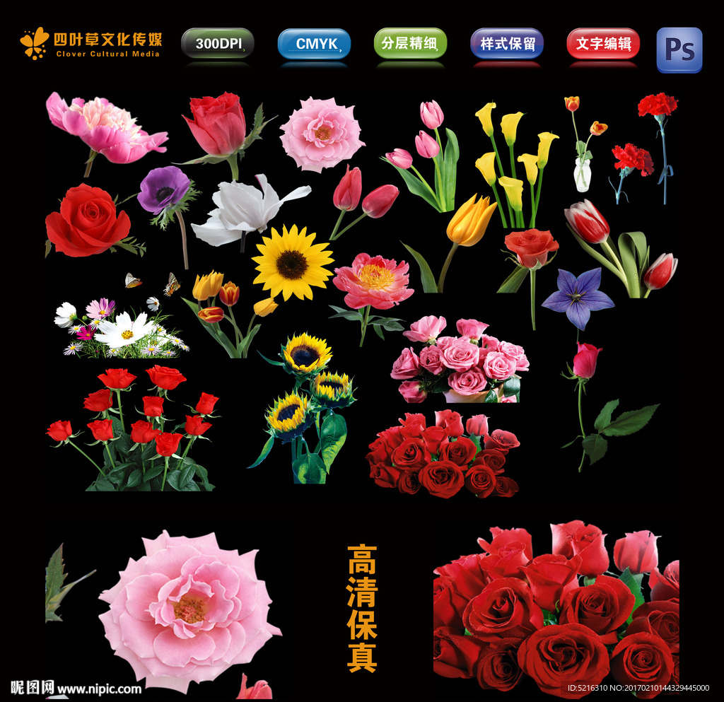 高清分层花朵