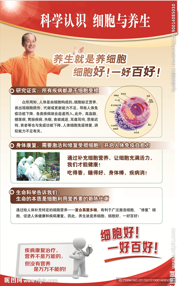 健康教育知识--细胞与养生