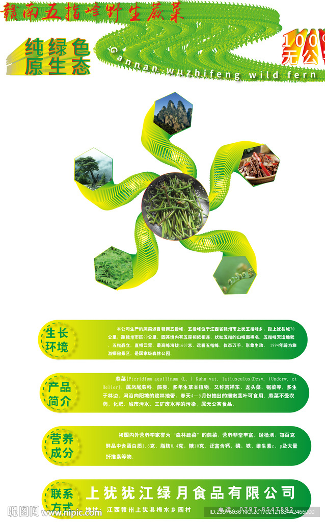 蕨菜海报