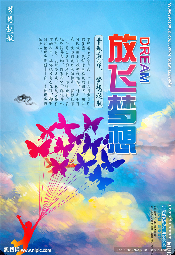 放飞梦想海报