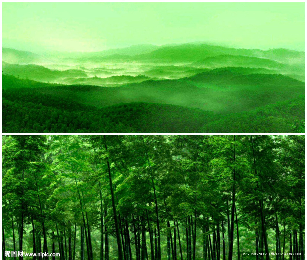 青山竹林