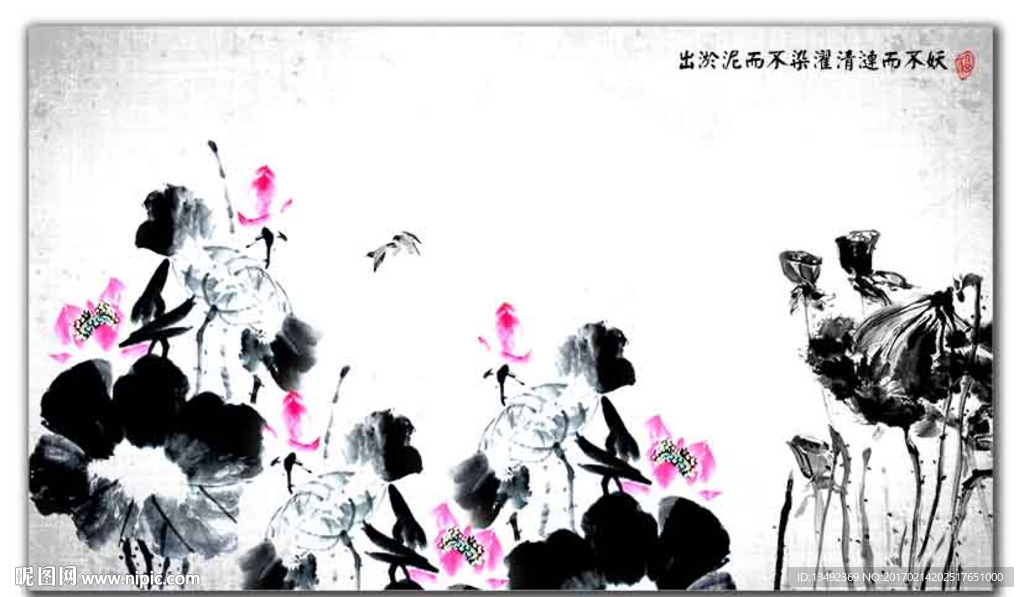 荷花