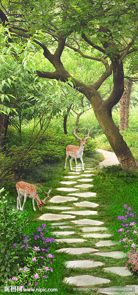 林间小路玄关背景