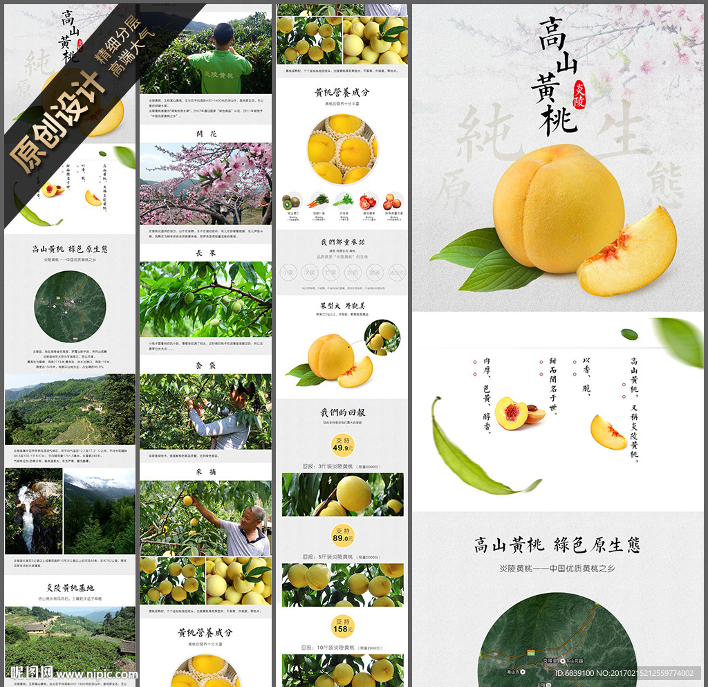 黄桃详情页