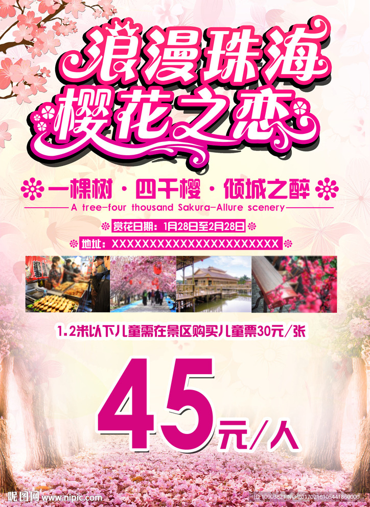樱花宣传图