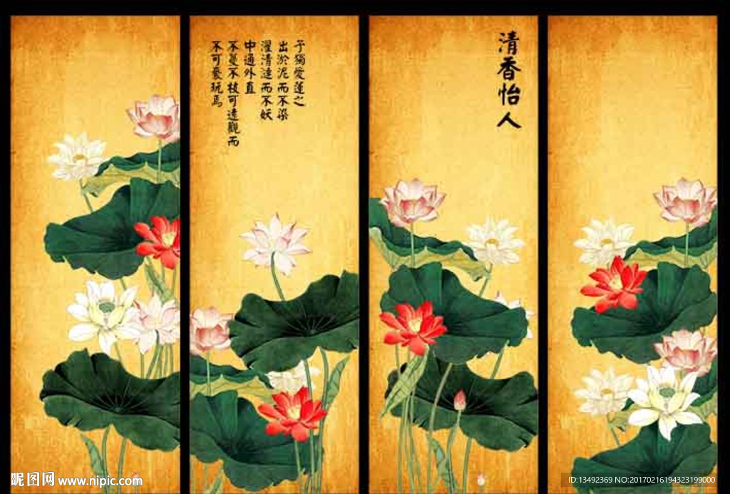 荷花