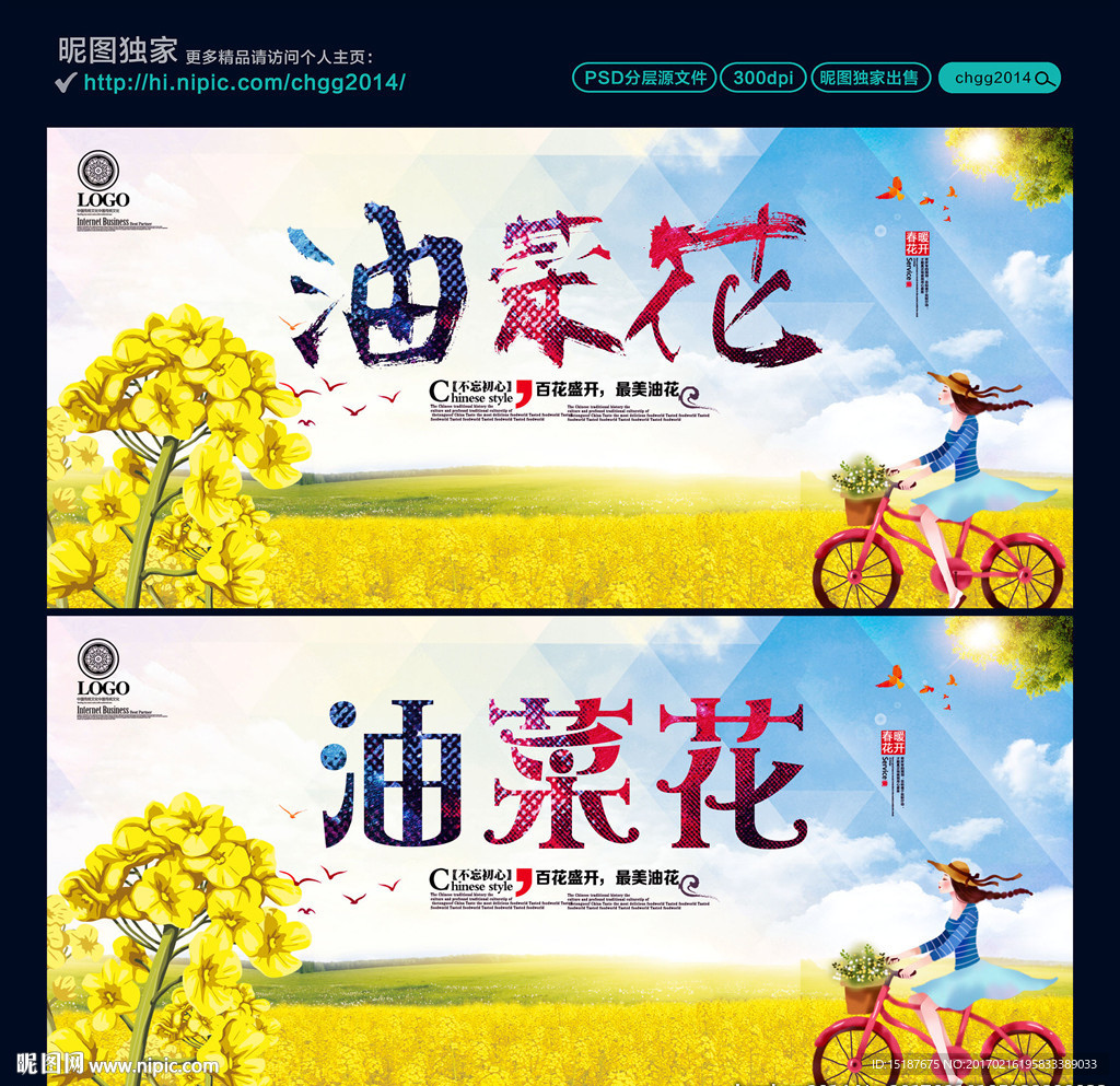 油菜花